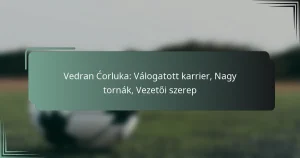 Vedran Ćorluka: Válogatott karrier, Nagy tornák, Vezetői szerep