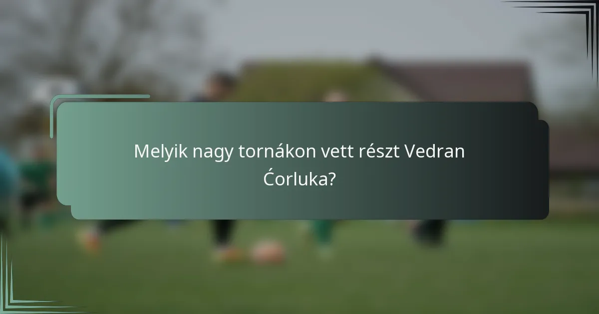Melyik nagy tornákon vett részt Vedran Ćorluka?