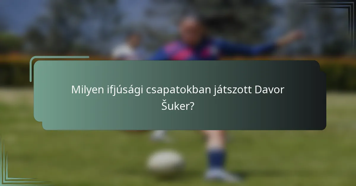 Milyen ifjúsági csapatokban játszott Davor Šuker?